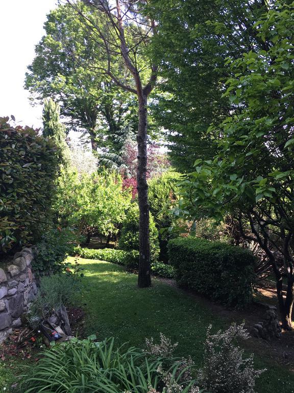 Il Pioppo Antico Apartment Viggiù Exterior foto